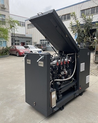 İyi bir fiyat. High Efficiency CE Approved Micro Biogas CHP Mini Cogenerator Set Unit System 16kw 20kva çevrimiçi