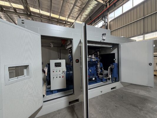 İyi bir fiyat. Yuchai Motor Yağmur geçirmez Ses geçirmez Konteynerli Dışarı Sessiz 300KW 400KVA 400KW 500KVA Doğal Gaz Elektrik Genset çevrimiçi