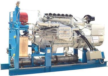 İyi bir fiyat. 60Hz 127V 3 Phase Biogas Generator Set , Biomass Gas Generator Silent / Open Design çevrimiçi