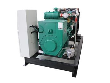 İyi bir fiyat. Weatherproof 50HZ 230V Biogas CHP , Biogas Fuel CHP Heat And Power BHKW 25KW 30KVA çevrimiçi